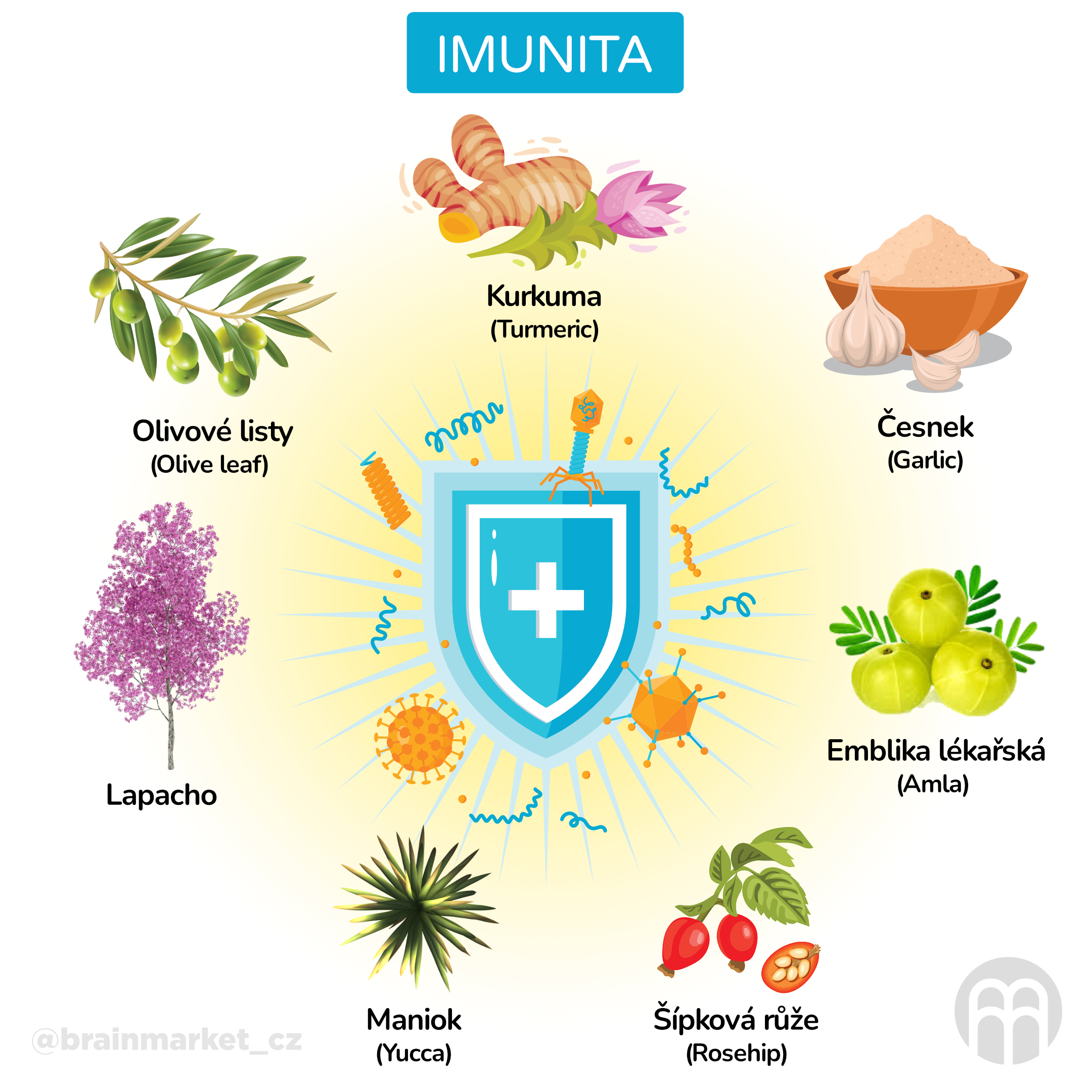 Imunita_infografika_cz